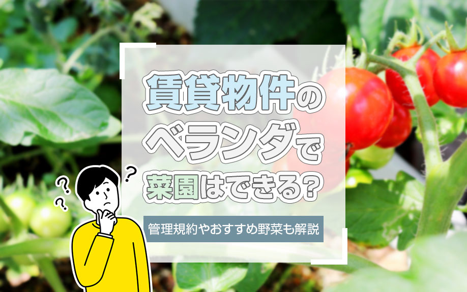 賃貸物件のベランダで菜園はできる？管理規約やおすすめ野菜も解説の画像