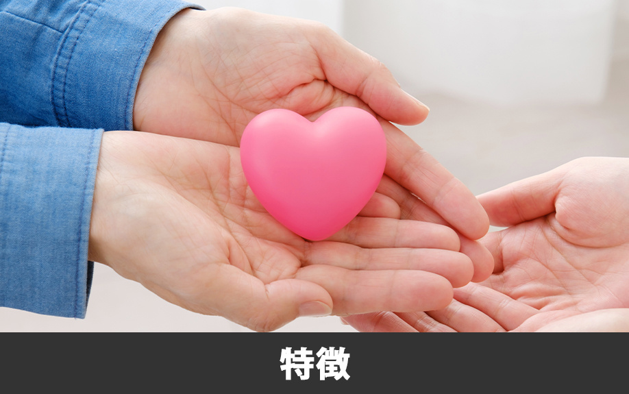 上益城郡嘉島町にある「嘉島さいとう内科クリニック」の特徴