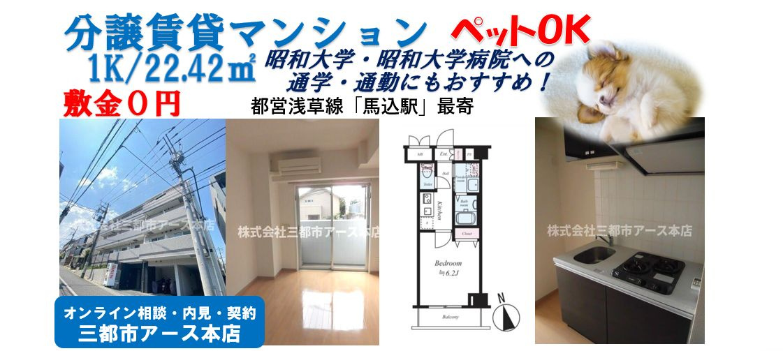 【ラ・シード馬込レフィナード】