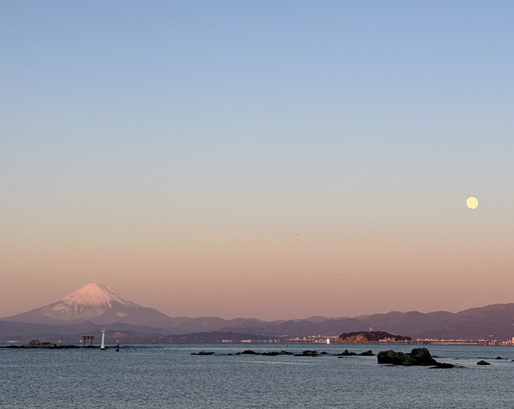 2026：本年も宜しくお願い致します！の画像