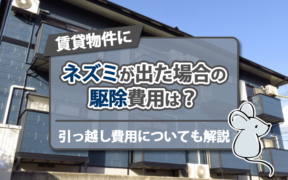 賃貸物件にネズミが出た場合の駆除費用は？引っ越し費用についても解説の画像