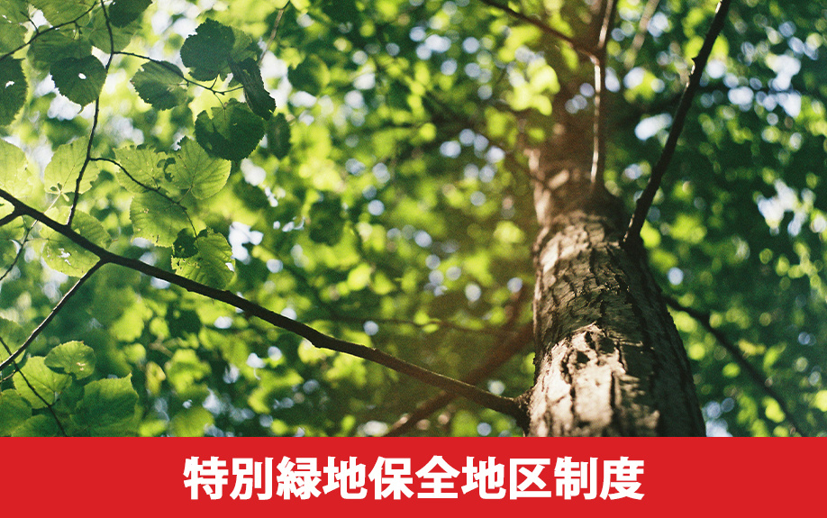緑地保全地域と特別緑地保全地区制度の違い