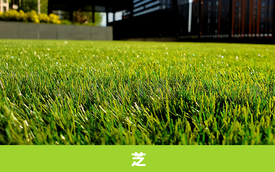 庭の地面の素材：天然芝と人工芝の比較と選び方