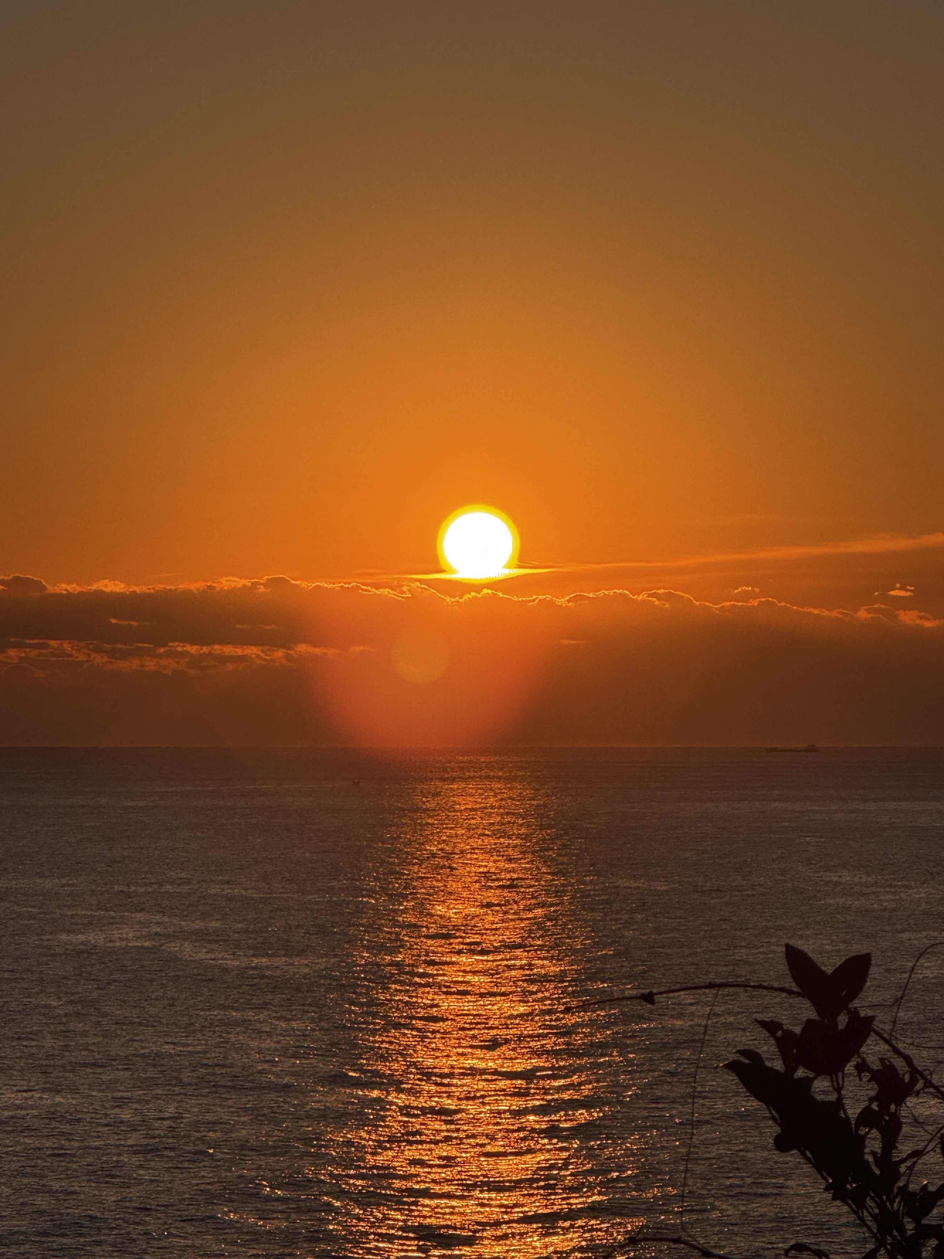 明けましておめでとうございます。の画像