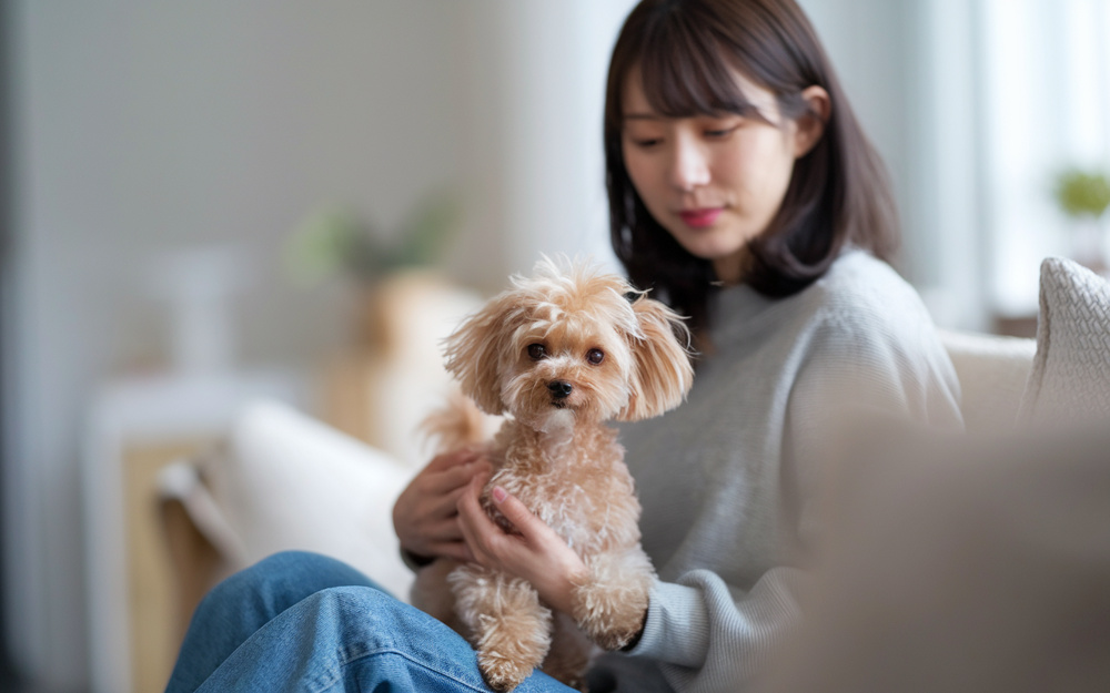 南河内でペット可賃貸を探すコツは？条件や選び方もポイント紹介の画像