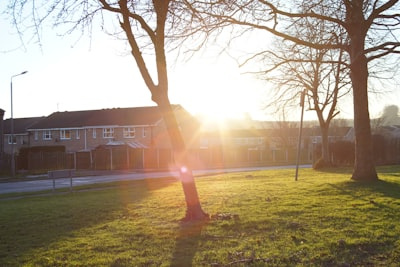亀戸の子育て環境は評判が高いエリア！ファミリーにおすすめの理由をご紹介の画像
