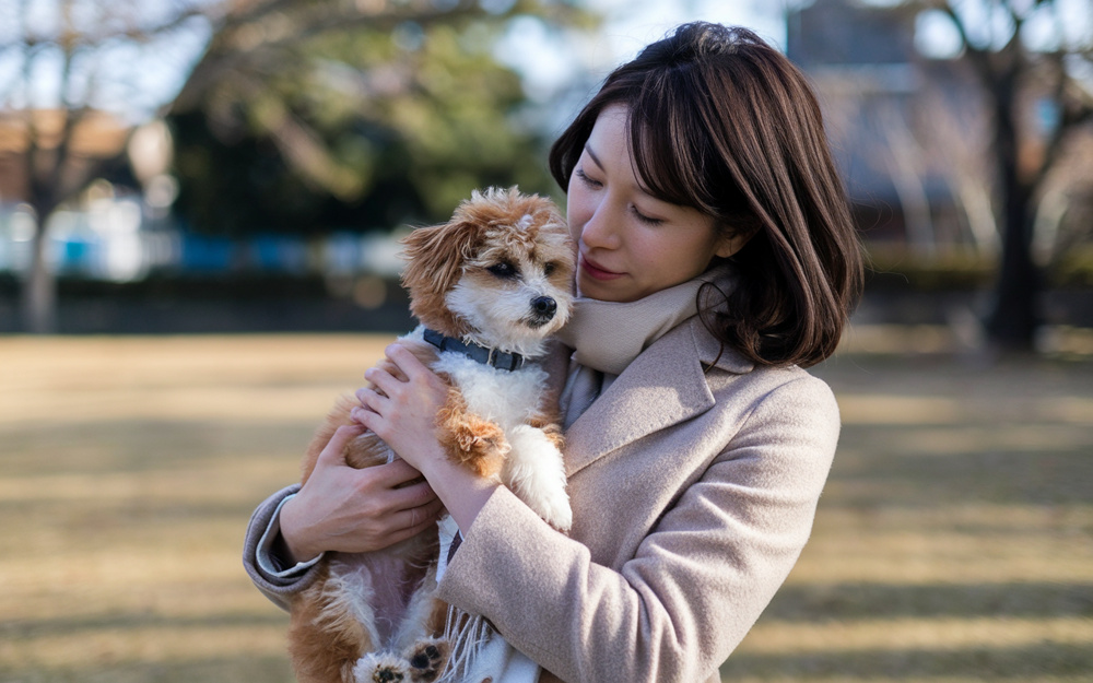 ペット可の賃貸物件は数が少ないのが現状！対応できる不動産会社の選び方も紹介の画像