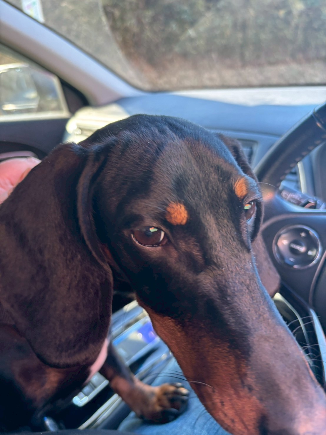 新年あけましておめでとうございます。の画像