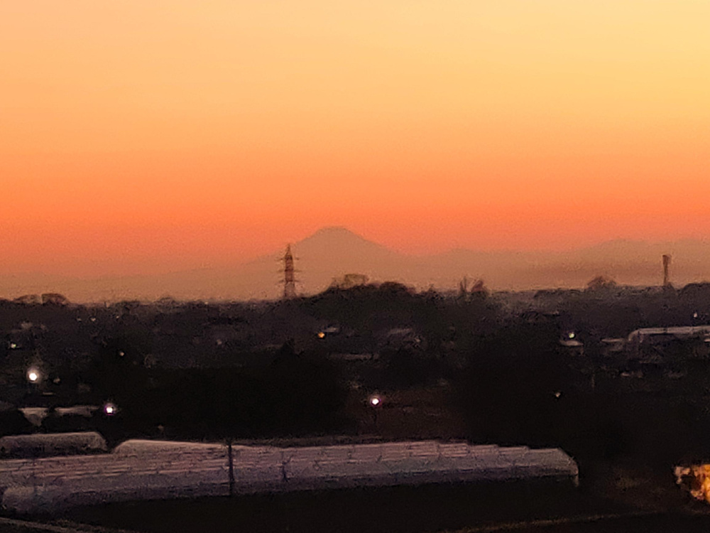 今年も宜しくお願いいたしますの画像