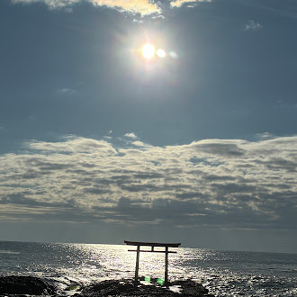 大洗磯前神社とアクアワールド茨城県大洗水族館へ小旅行の画像