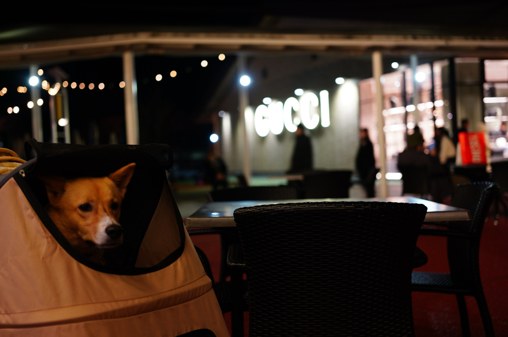 不動産調査についての画像