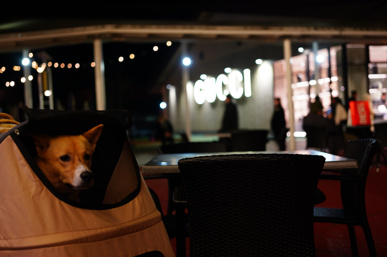 不動産調査についての画像