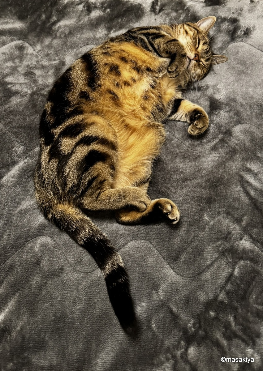 検査結果１の画像