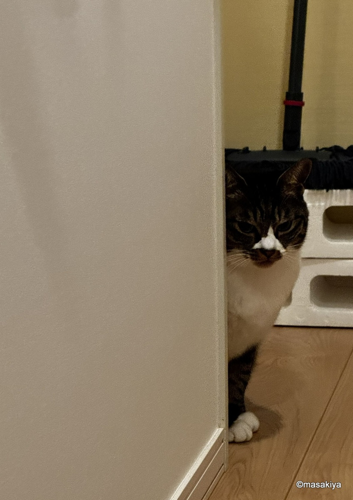 検査結果２の画像