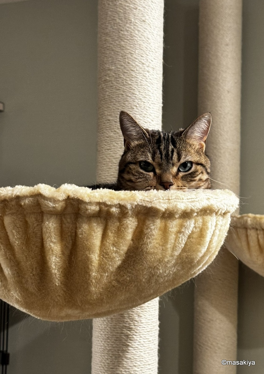 検査結果３の画像