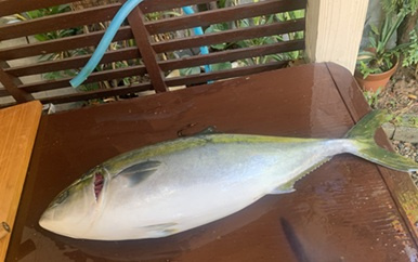 年末年始の画像