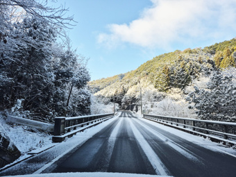 今年の初雪の画像