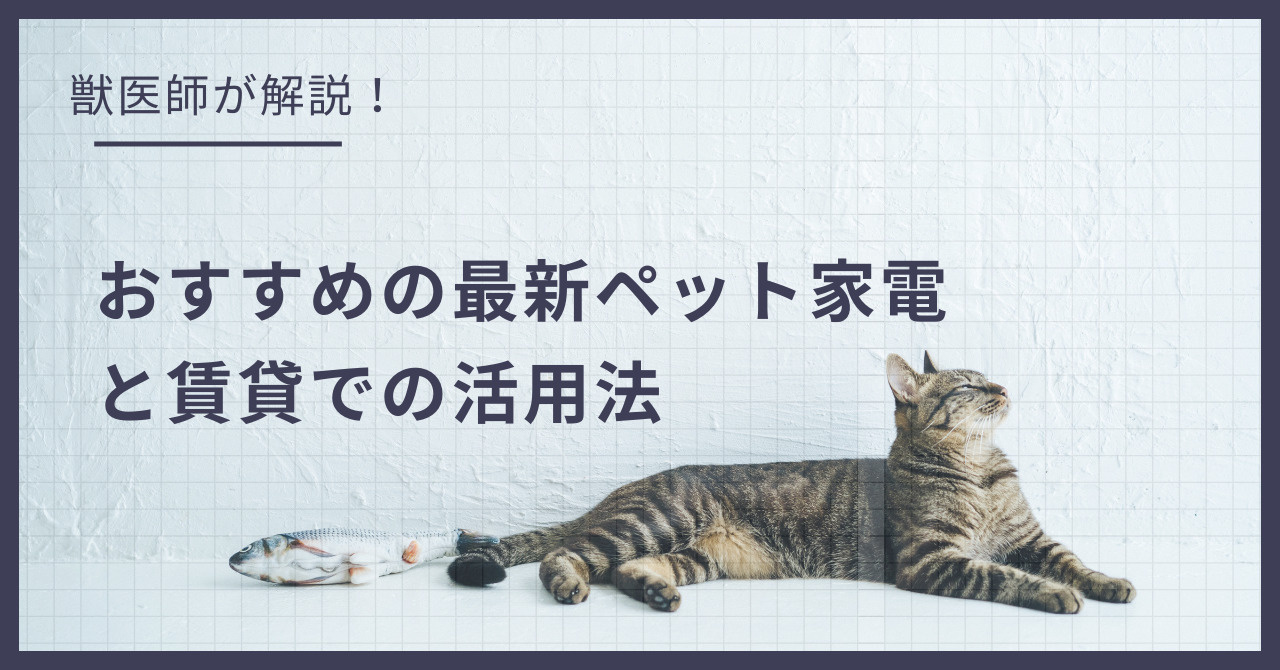 猫との暮らしがもっと楽しくなる！おすすめの最新ペット家電と賃貸での活用法の画像