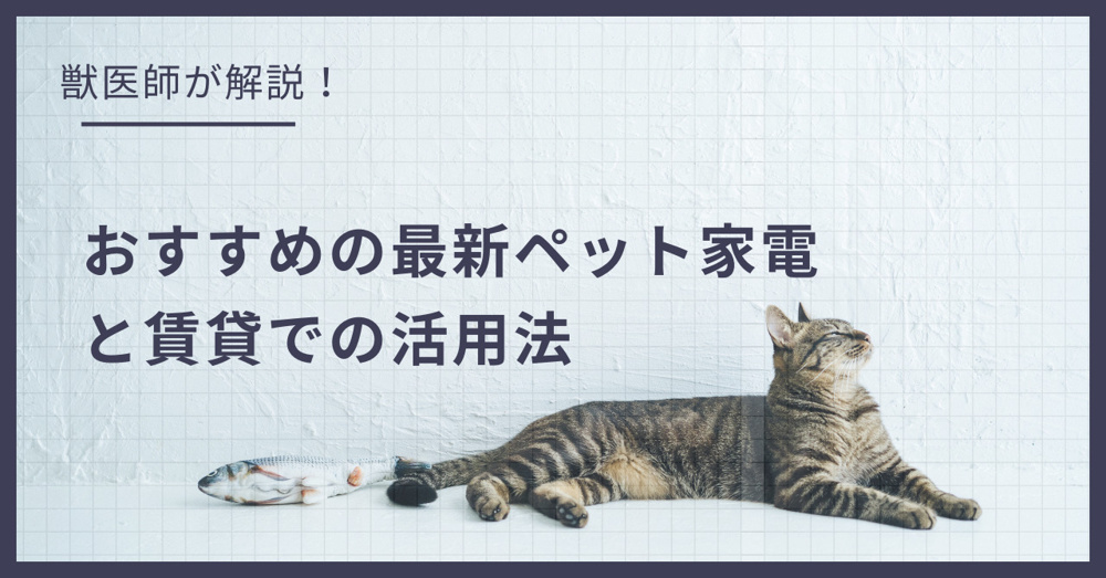 猫との暮らしがもっと楽しくなる！おすすめの最新ペット家電と賃貸での活用法の画像
