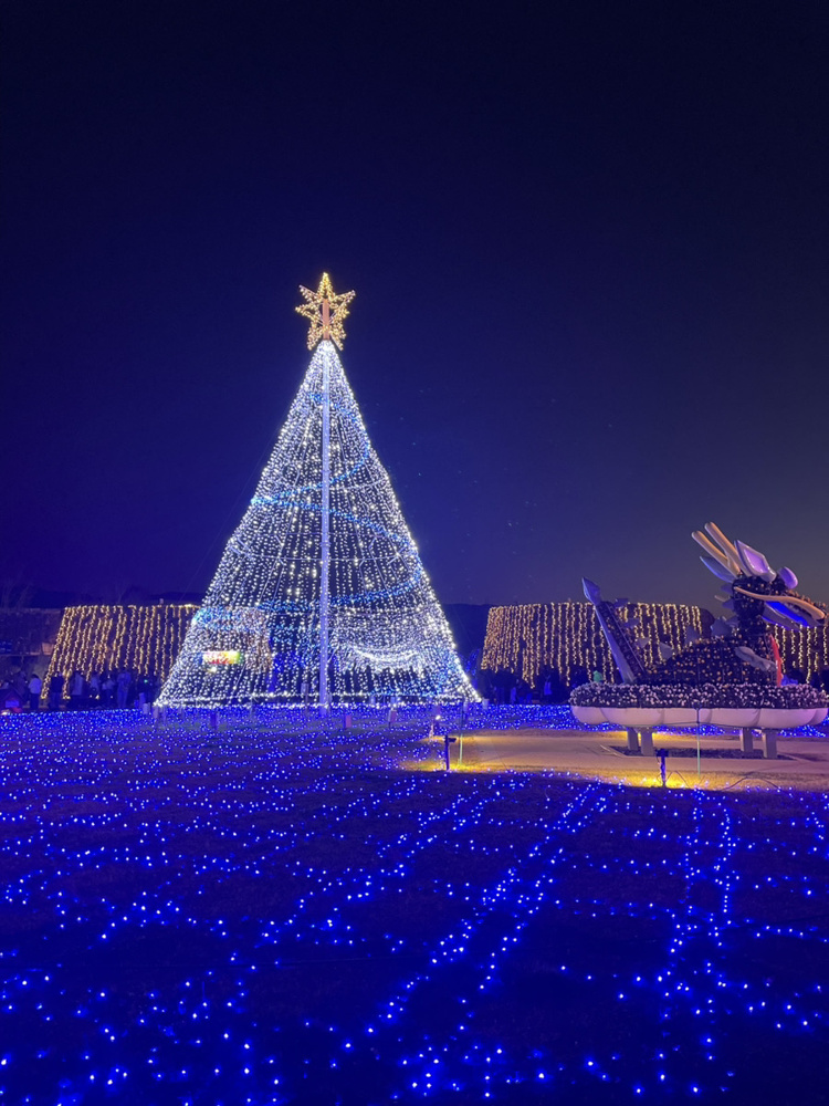 国営讃岐まんのう公園　ウインターファンタジーの画像