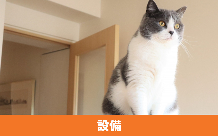 猫との暮らしを豊かにするおすすめ設備
