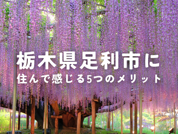 栃木県足利市の住みやすさとは？移住して後悔する？メリット・デメリットを解説の画像