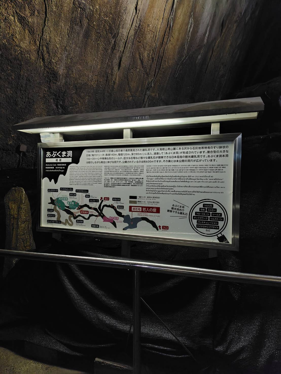 冬ですが・・夏の思い出☆の画像