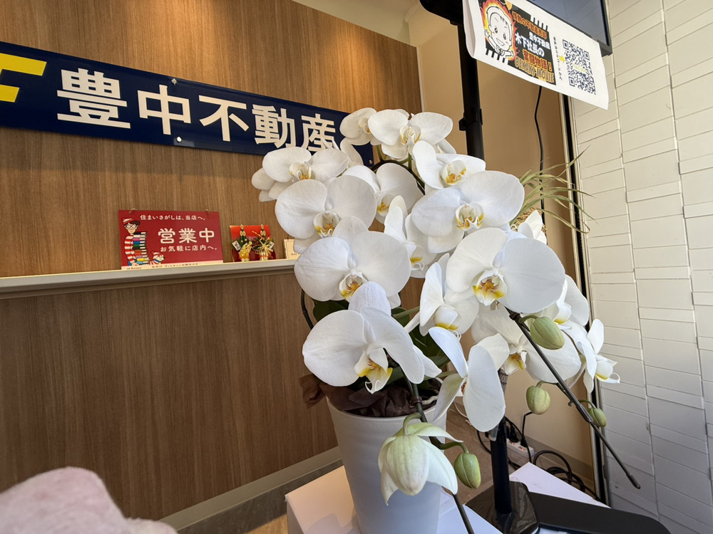 今年は例年以上に動きそうです！の画像