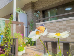 中古マンションを購入するなら専用庭がおすすめ？メリットや注意点も解説の画像