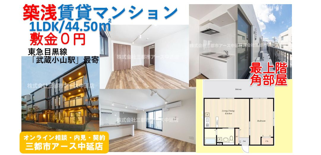 【都立大学駅】デザイナーズマンション1LDK・築浅｜目黒区平町の画像