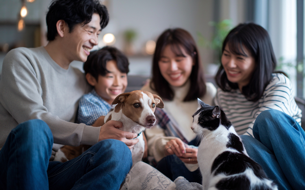 戸建とマンションでペットと暮らす魅力は？家族に合う住まい選びのヒントの画像