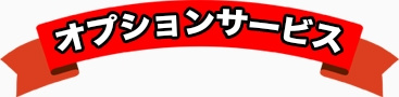 オプションサービス