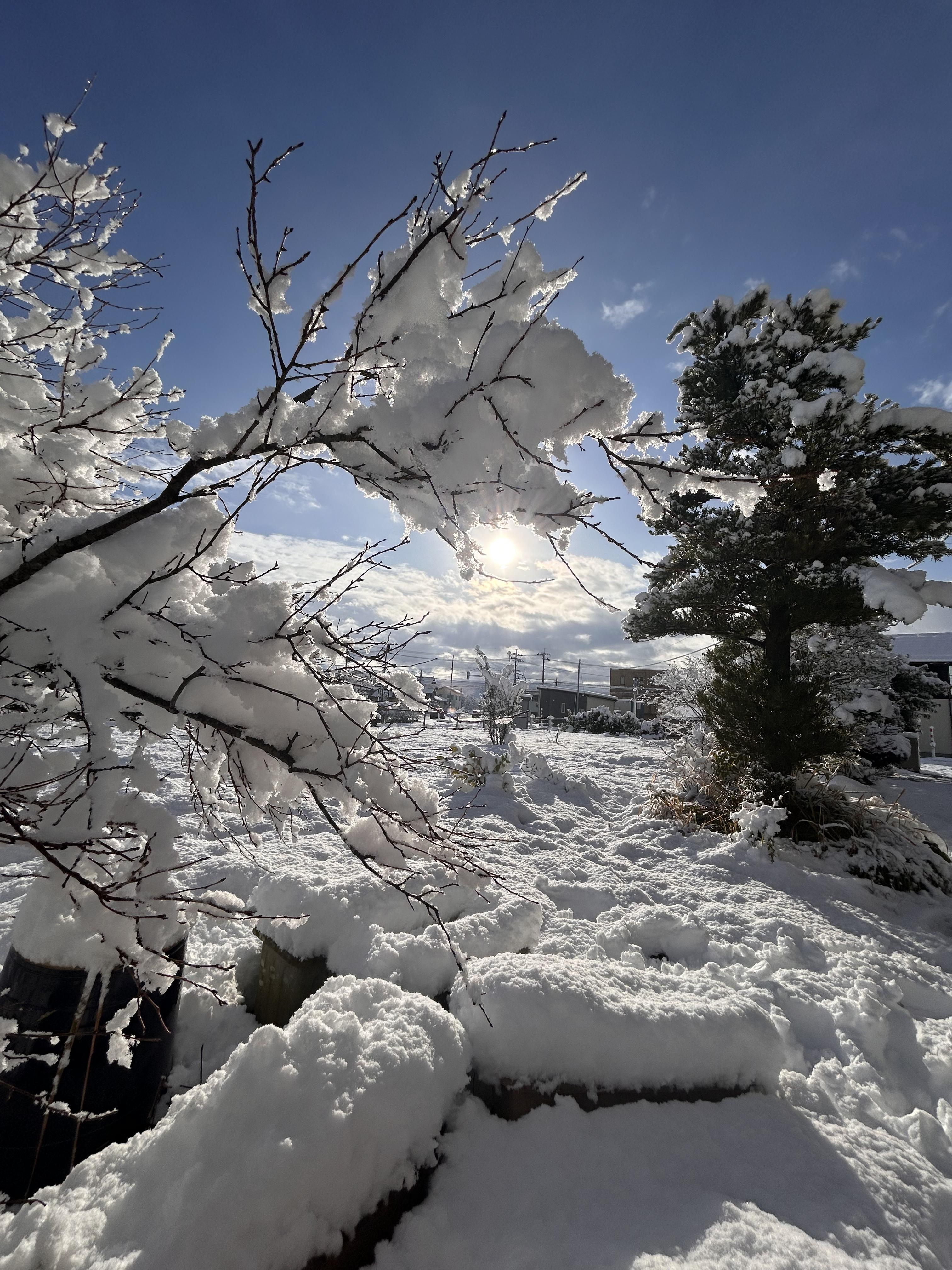 富山で雪遊び｜世田谷区の新築戸建て｜センチュリー21ライフステーション