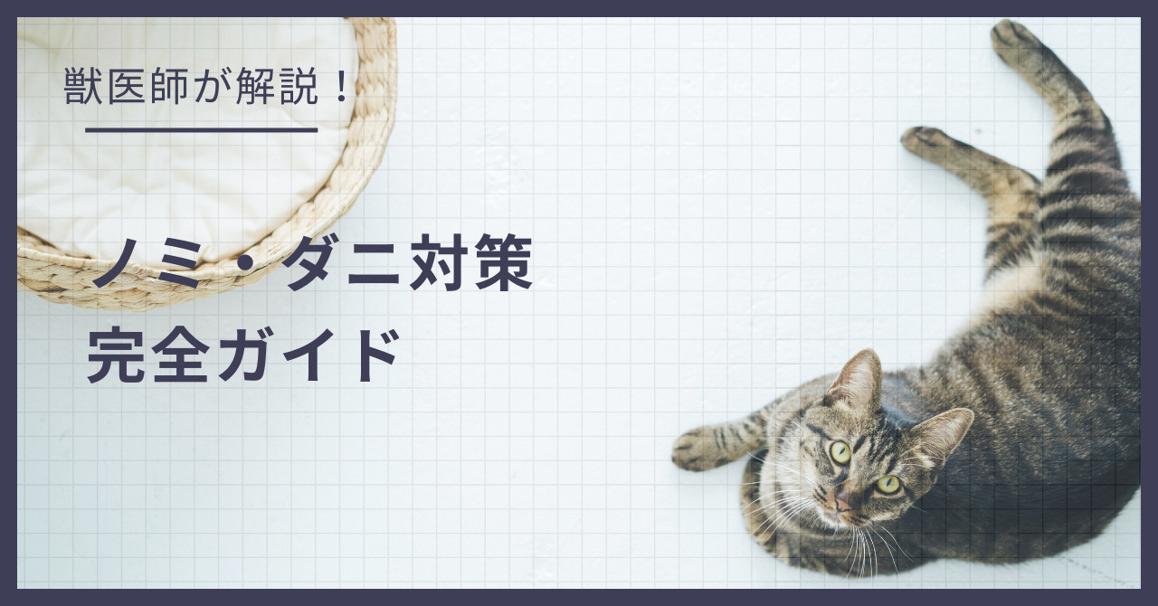 賃貸での「ノミ・ダニ」発生を防ぐ！入居前にバルサンは焚いていい？成分選びと正しい予防法の画像