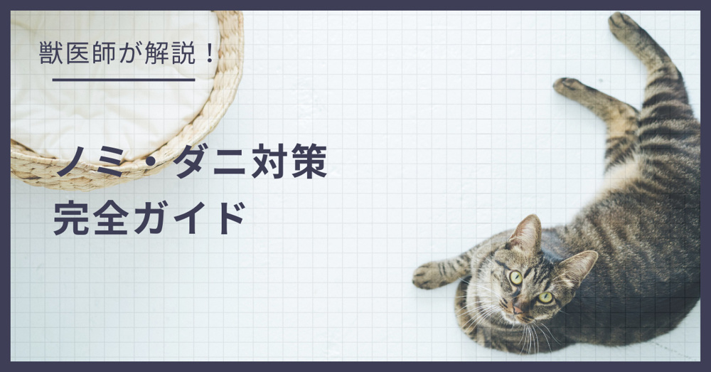 賃貸での「ノミ・ダニ」発生を防ぐ！入居前にバルサンは焚いていい？成分選びと正しい予防法の画像