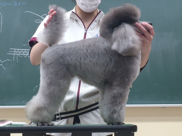 ブログのネタがない…の画像