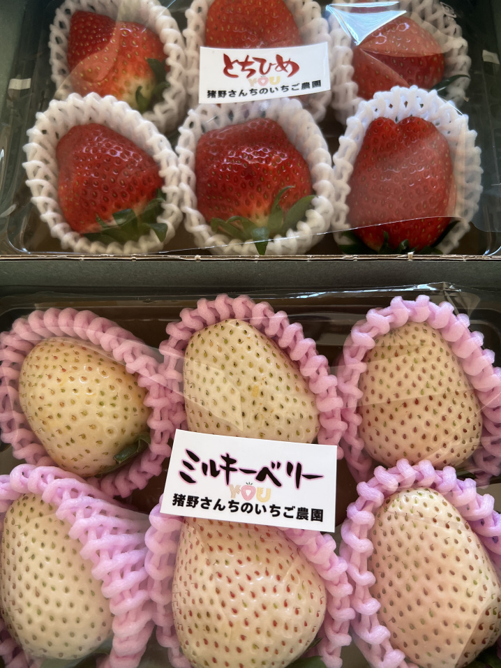 いちごの季節の画像