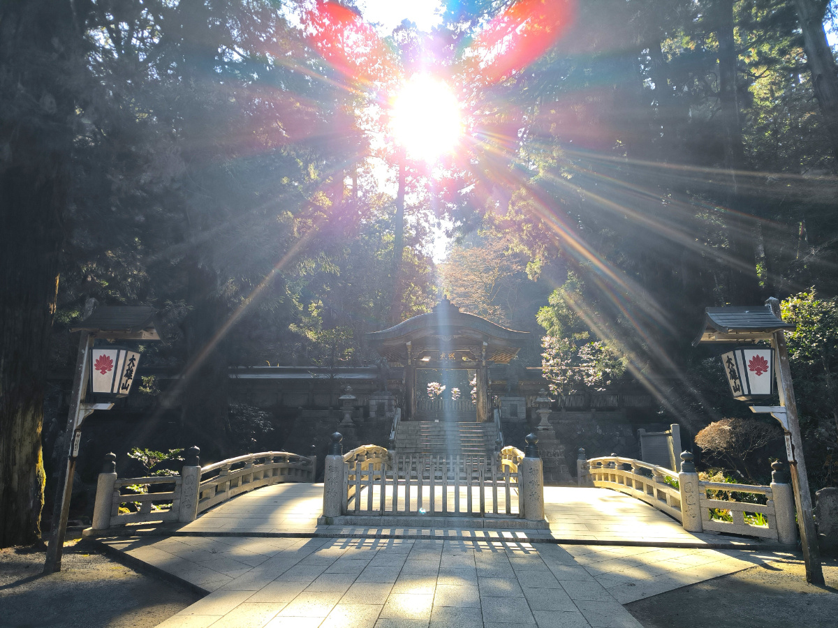 新年のご挨拶（2026.1.17）の画像