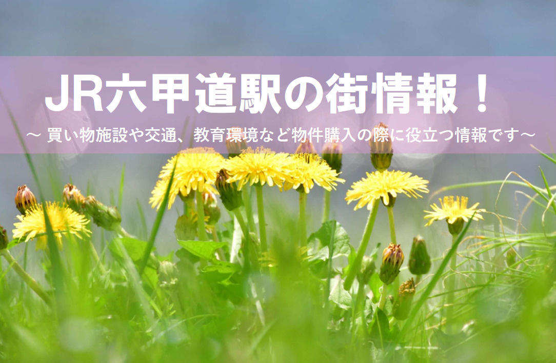 JR六甲道駅の街情報が気になる方必見！駅周辺の買い物施設や住環境子育て環境も紹介の画像