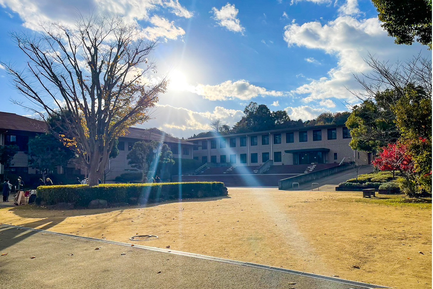 私立近畿大学農学部