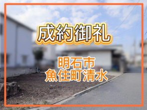 成約情報の画像