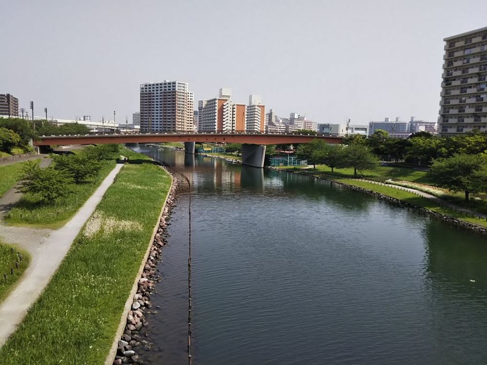 【行政視点で分析】墨田区「民泊総量規制」の全貌と他エリアへの波及リスクの画像