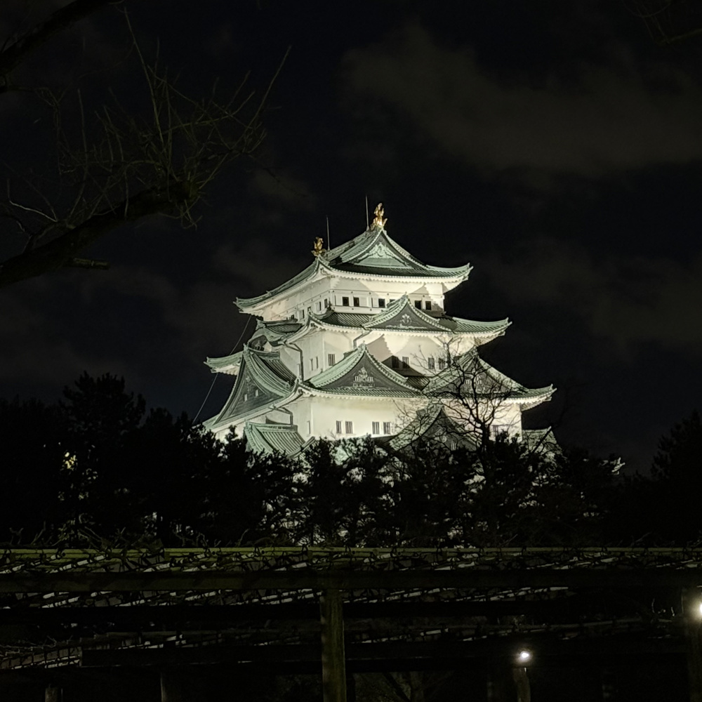 ライトアップの画像