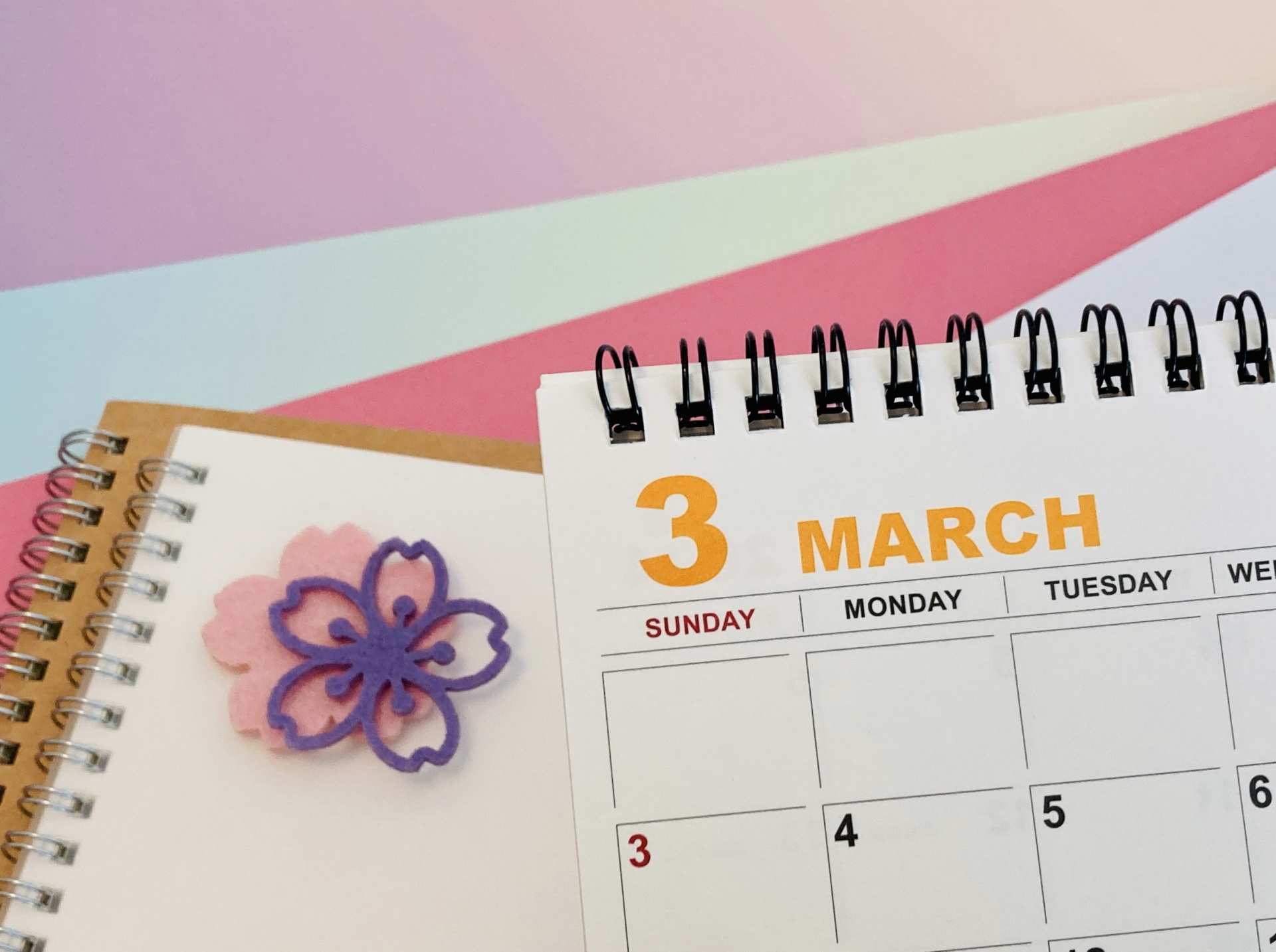 3月の駆け込み部屋探し｜選択肢が少ない中でも失敗しない探し方の画像