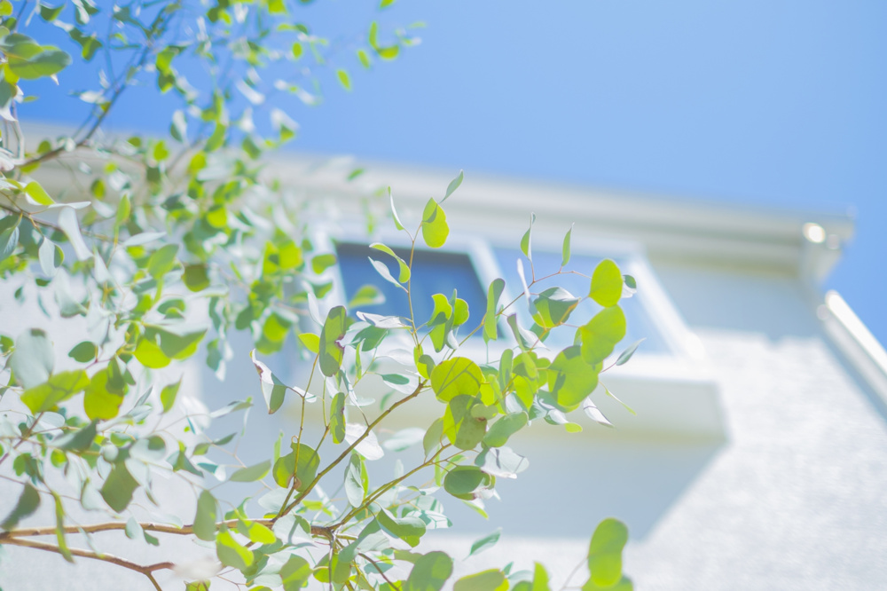 Vol.248  土地面積と日当たりの関係で、暮らしの満足度はここまで変わるの画像