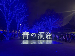 イルミネーションの画像