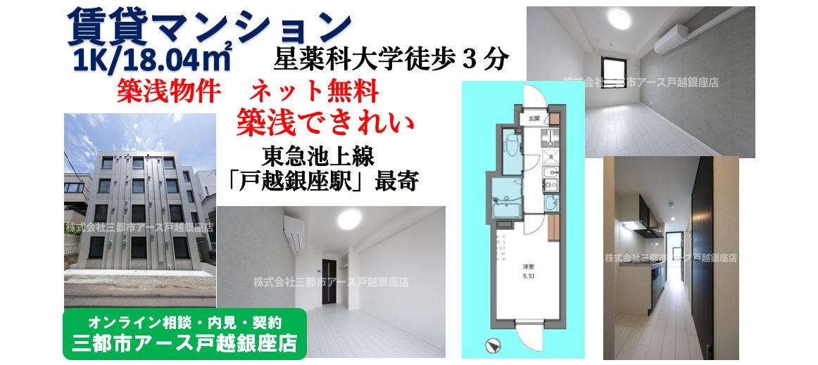 【築浅×ネット無料】星薬科大学近くの賃貸マンション1K｜品川区の画像