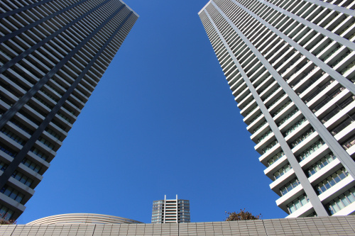 ドゥトゥールご紹介の画像