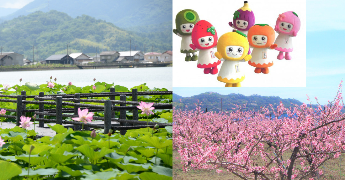 紀の川市・岩出市で【家のことを安心して相談できる場所】の画像