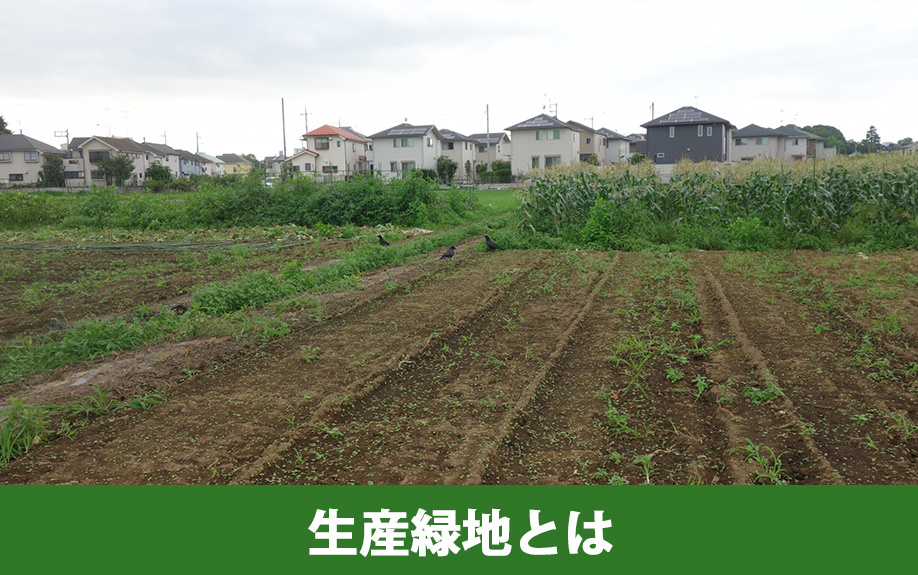生産緑地とは